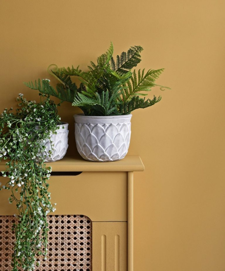 3 raisons pour lesquelles votre fougère est tombante et comment la sauver, selon des experts de la plante d’intérieur 3 raisons pour lesquelles votre fougère est tombante et comment la sauver, selon des experts de la plante d'intérieur