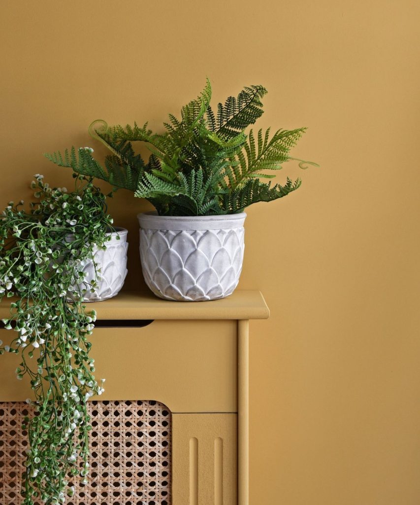 3 raisons pour lesquelles votre fougère est tombante et comment la sauver, selon des experts de la plante d'intérieur