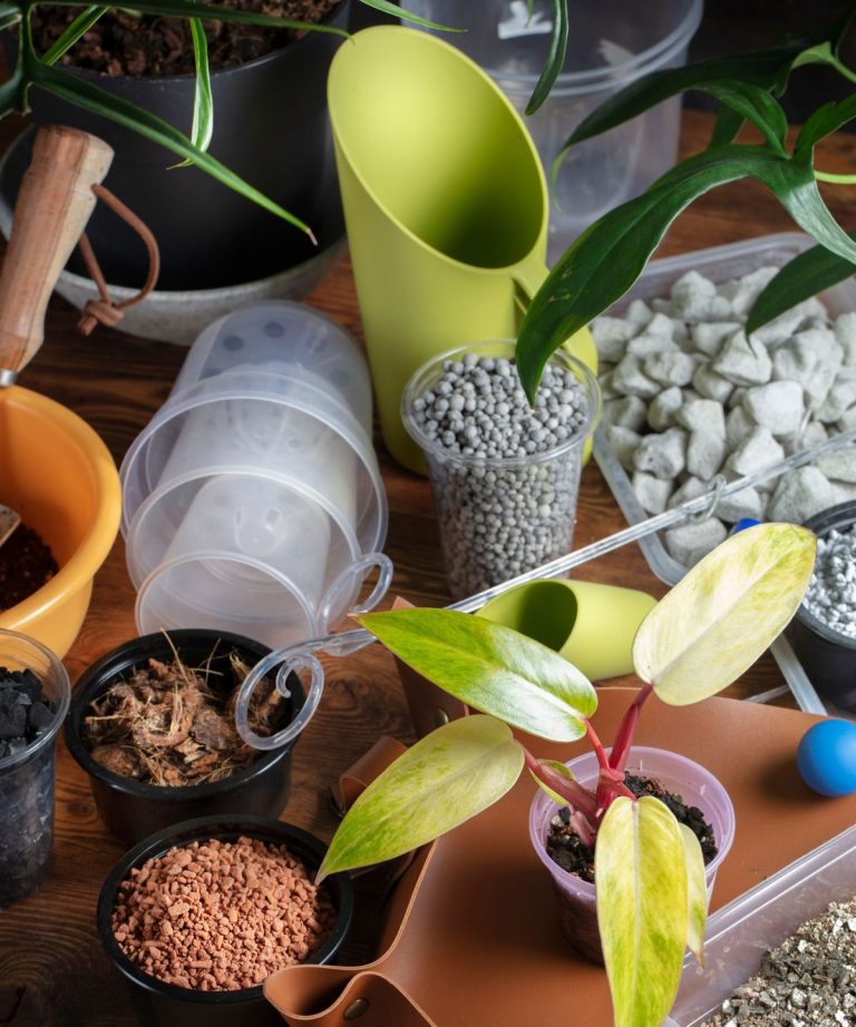 Perlite vs Vermiculite – Quelle est la différence et qui est le mieux pour votre jardin? Perlite vs Vermiculite - Quelle est la différence et qui est le mieux pour votre jardin?