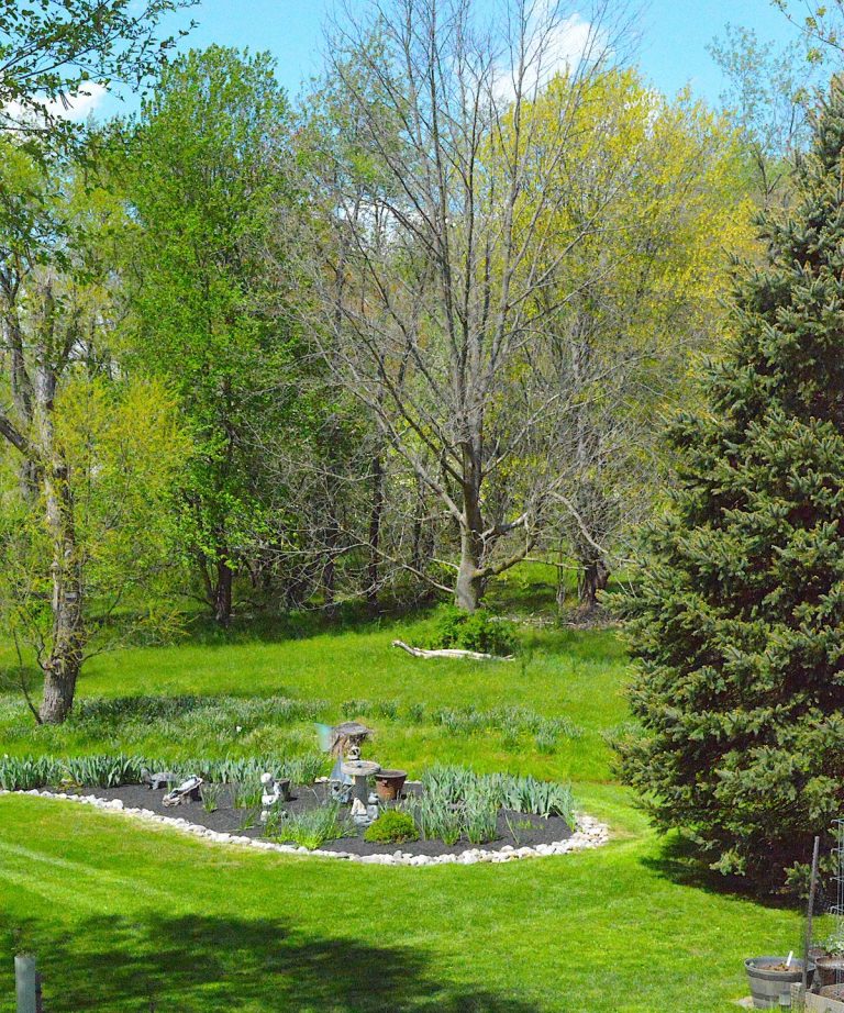 Il est encore temps de tailler des arbres à feuilles caduques ce mois-ci – des conseils d’experts pour 9 des arbres d’arrière-cour les plus populaires Il est encore temps de tailler des arbres à feuilles caduques ce mois-ci - des conseils d'experts pour 9 des arbres d'arrière-cour les plus populaires