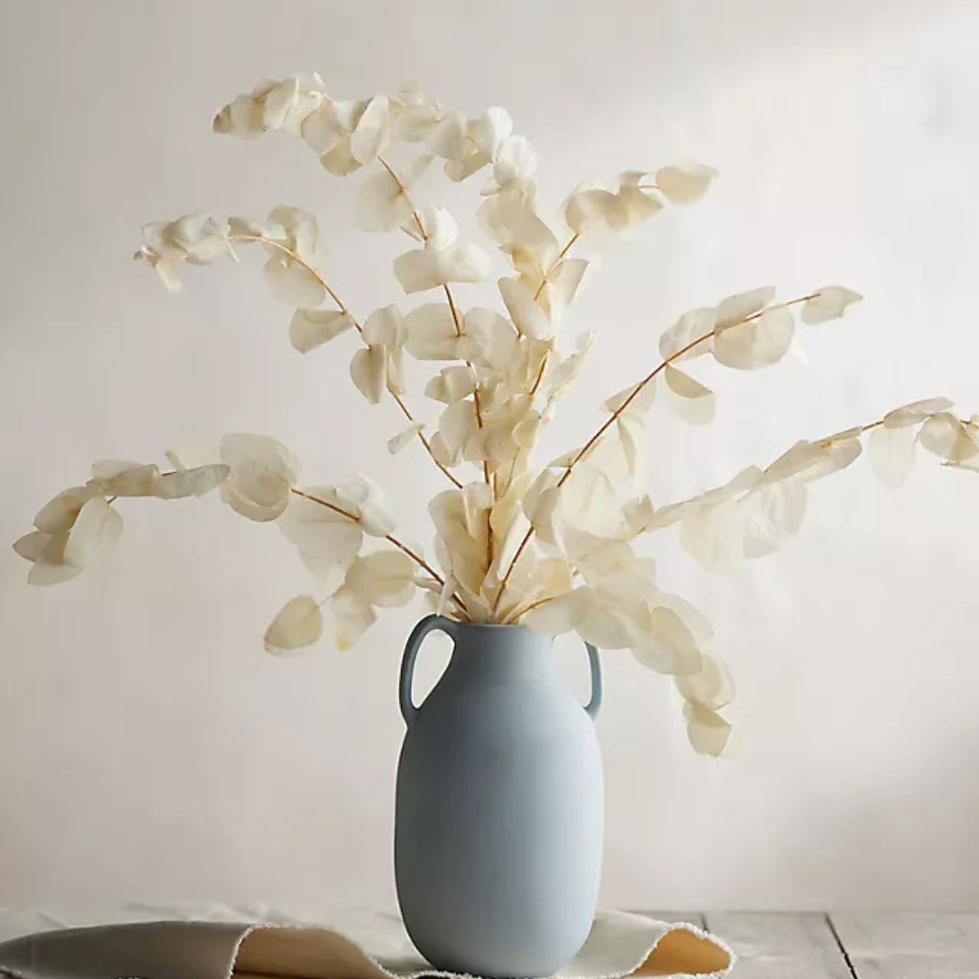 Bouquet d'eucalyptus en argent conservé, blanc, blanc