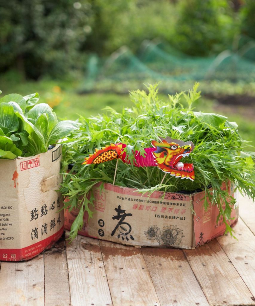 Comment réutiliser le carton dans le jardin - 6 façons intelligentes de réutilisation des boîtes de livraison peuvent bénéficier à votre cour