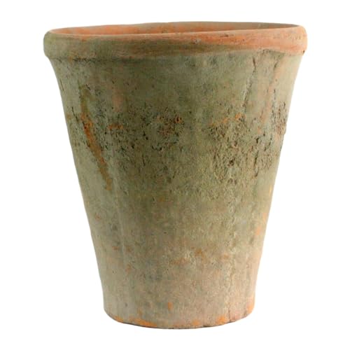 Pot de rose rustique Homart Terra Cotta, grand, rouge antique, 1 compte (7683-0)
