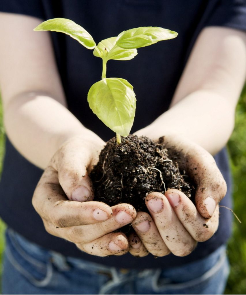 Les thérapeutes de l’horticulture lancent une campagne pour exploiter une «meilleure connexion» entre les jeunes et la nature au milieu de «tendances alarmantes» de la santé des jeunes à travers les États-Unis Les thérapeutes de l'horticulture lancent une campagne pour exploiter une «meilleure connexion» entre les jeunes et la nature au milieu de «tendances alarmantes» de la santé des jeunes à travers les États-Unis