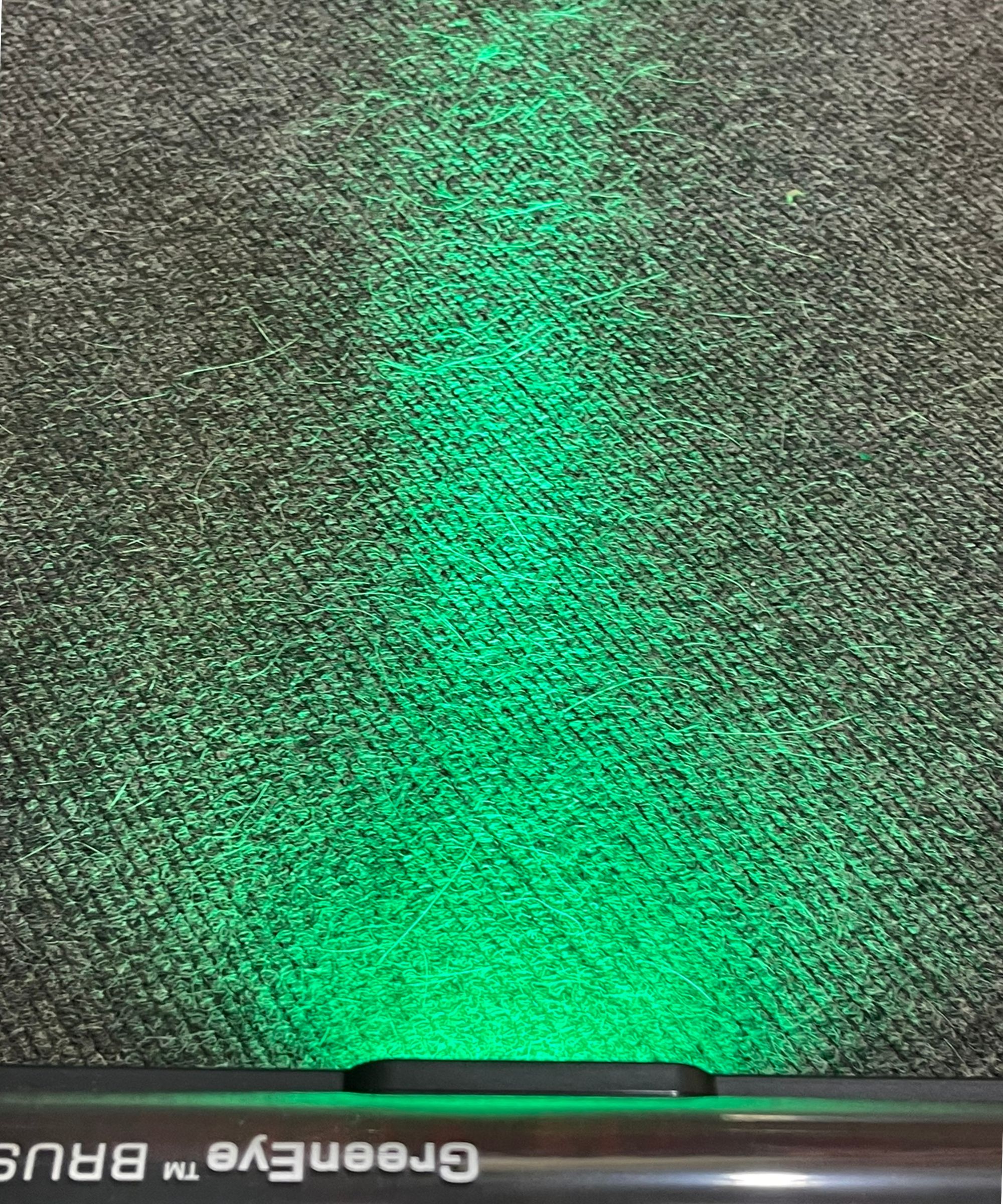 Utilisation de la brosse U16 Flex Greeneye Ultenic U16 au Bristol Animal Rescue Center, Cat éclairant la fourrure de chat et de chien sur le tapis gris