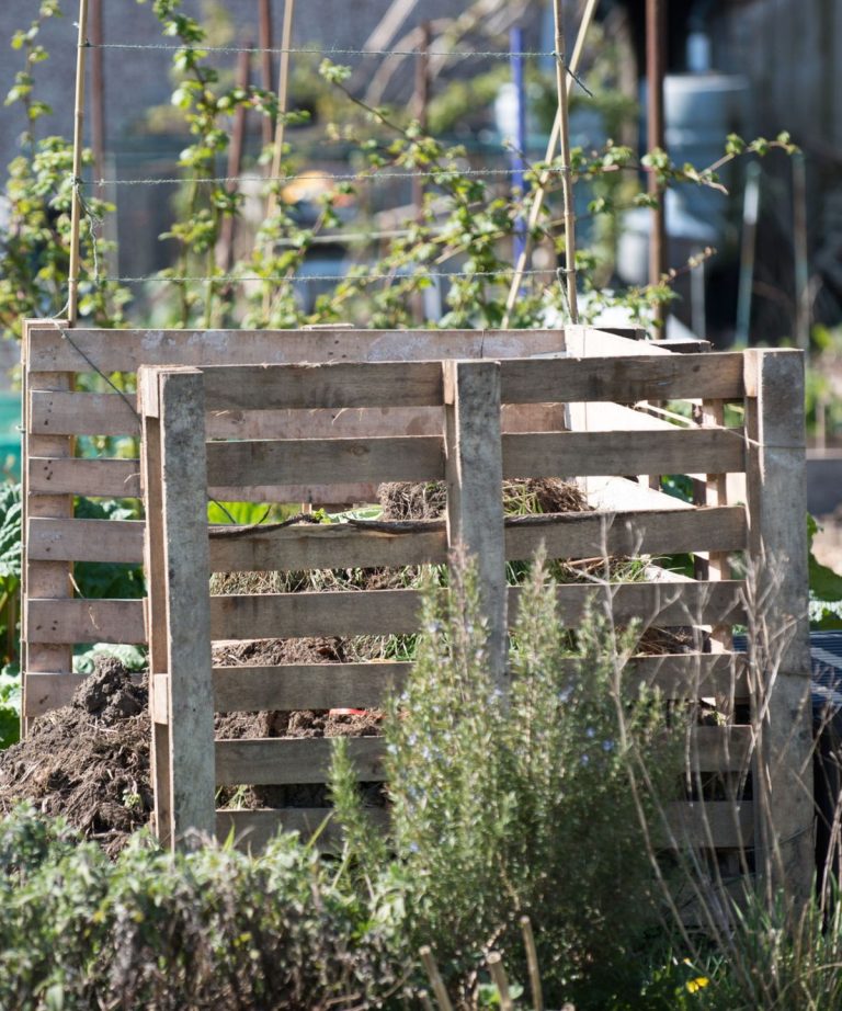 Comment faire un bac à compost à partir de palettes – les professionnels du jardinage révèlent comment réutiliser le vieux bois pour le compost vital Comment faire un bac à compost à partir de palettes - les professionnels du jardinage révèlent comment réutiliser le vieux bois pour le compost vital