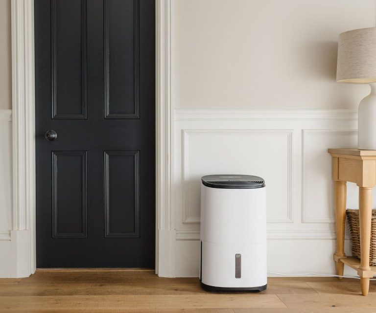 5 Utilisations surprenantes pour votre déshumidificateur – Utilisez ce héros de la maison pour accélérer le séchage de la peinture, arrêter le papier pelage du papier peint et empêcher les ravageurs 5 Utilisations surprenantes pour votre déshumidificateur - Utilisez ce héros de la maison pour accélérer le séchage de la peinture, arrêter le papier pelage du papier peint et empêcher les ravageurs