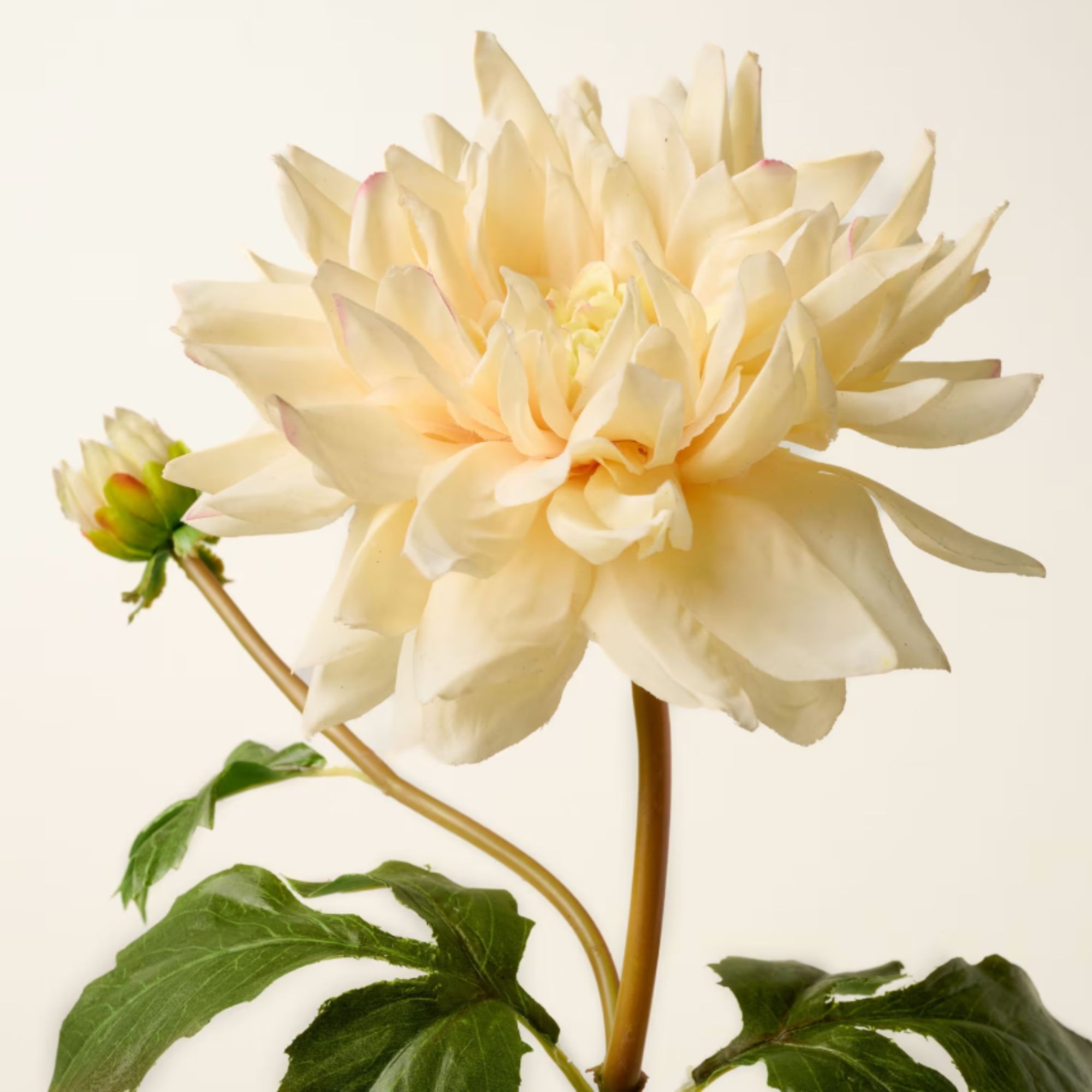 Real Touch surdimensionné Dahlia tige