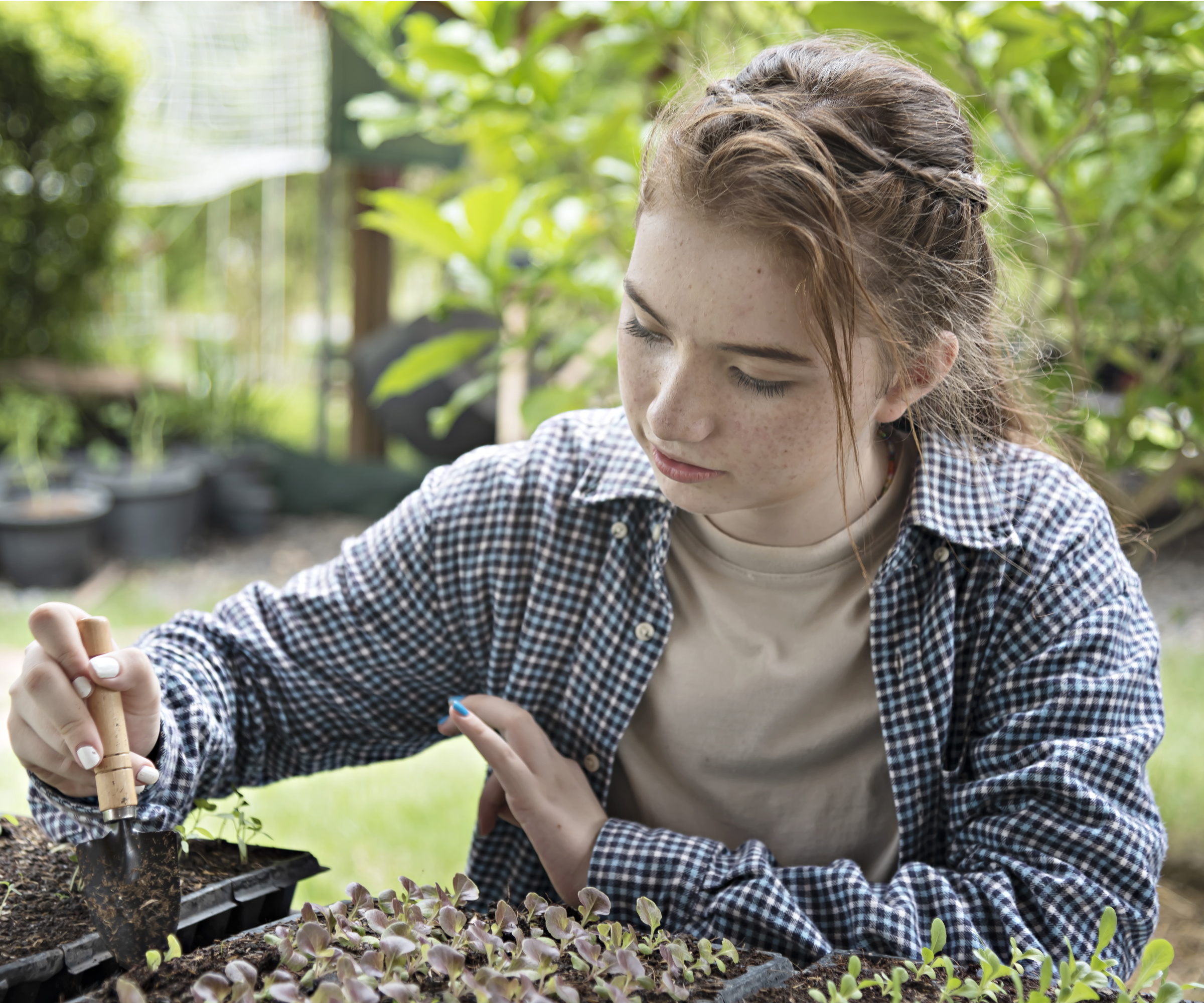 Horticulture des jeunes