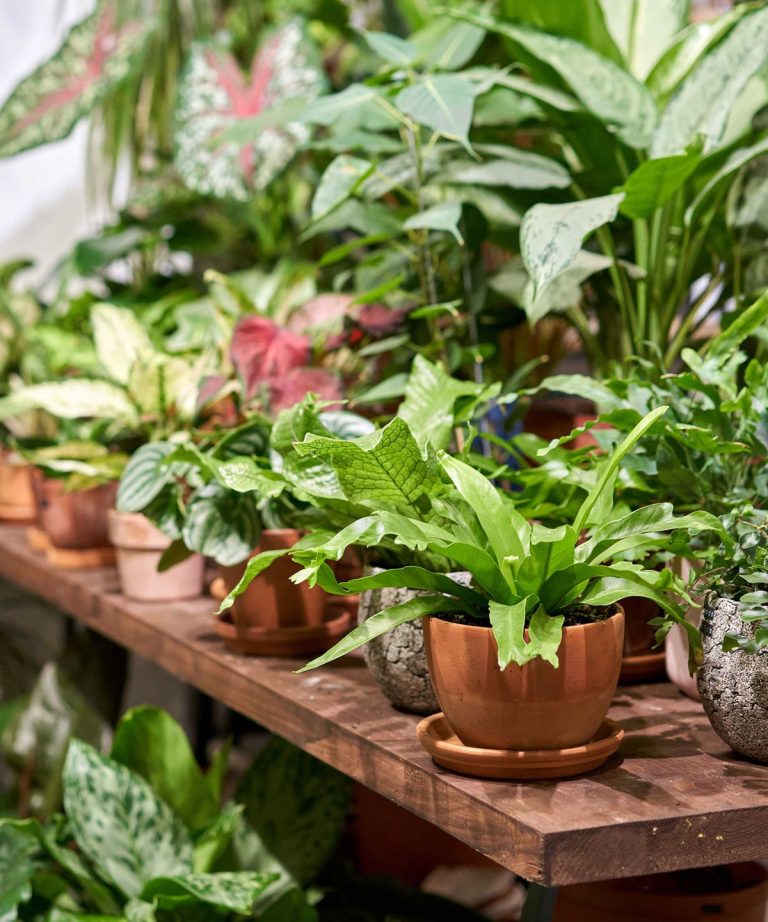 Je suis un toxicomane de l’intérieur et c’est tout ce que je sais sur la façon de magasiner dans un magasin d’usine – plus comment ne pas faire les mêmes erreurs coûteuses que j’ai faites Je suis un toxicomane de l'intérieur et c'est tout ce que je sais sur la façon de magasiner dans un magasin d'usine - plus comment ne pas faire les mêmes erreurs coûteuses que j'ai faites