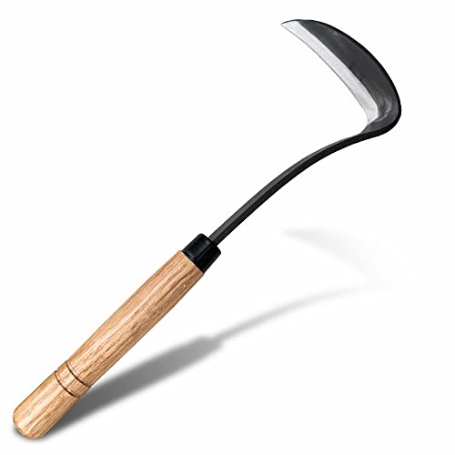Outils de jardinage de sréaille de désherbage japonais Shanfeek Tools de déménagement des mauvaises herbes de 13 pouces Moulage en une seule pièce en acier à haut carbone avec poignée en bois solide (cou à serpent)