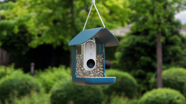 J’ai testé le Bird Buddy 2.0 – cette impressionnante caméra de mangeoire intelligente a capturé plus juste que les oiseaux chanteurs affamés J'ai testé le Bird Buddy 2.0 - cette impressionnante caméra de mangeoire intelligente a capturé plus juste que les oiseaux chanteurs affamés