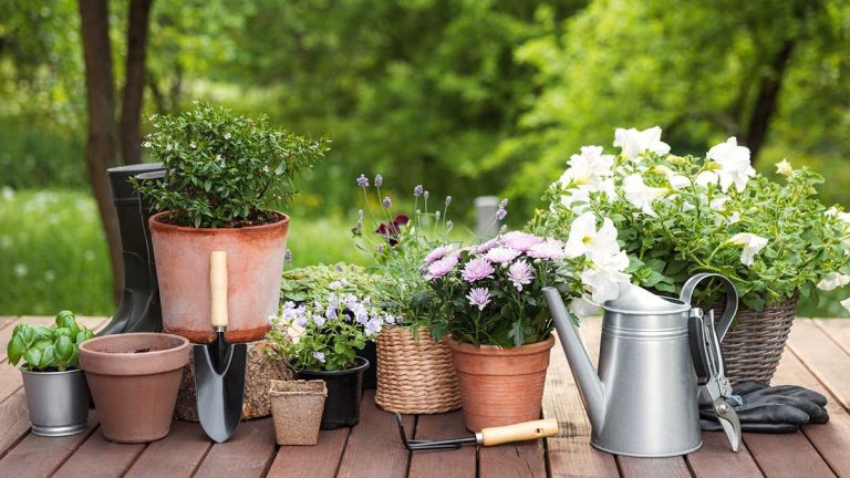 Habitudes de jardinage Les experts des plantes disent que vous devriez casser cette année – 5 choses à abandonner pour une cour plus durable Habitudes de jardinage Les experts des plantes disent que vous devriez casser cette année - 5 choses à abandonner pour une cour plus durable