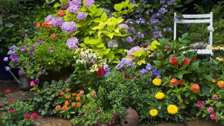 J’ai fait des fleurs pour des étalages éblouissants et une coupe dans les jardins historiques – voici mes 7 choix essentiels des meilleures fleurs à semer en mars J'ai fait des fleurs pour des étalages éblouissants et une coupe dans les jardins historiques - voici mes 7 choix essentiels des meilleures fleurs à semer en mars