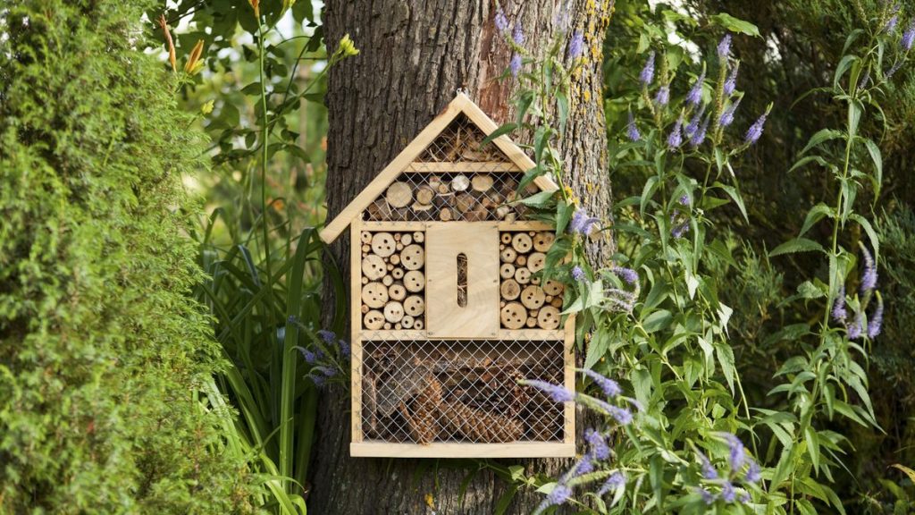 Comment faire un hôtel d’abeilles – un guide expert étape par étape pour créer votre propre et encourager plus de pollinisateurs dans votre cour Comment faire un hôtel d'abeilles - un guide expert étape par étape pour créer votre propre et encourager plus de pollinisateurs dans votre cour