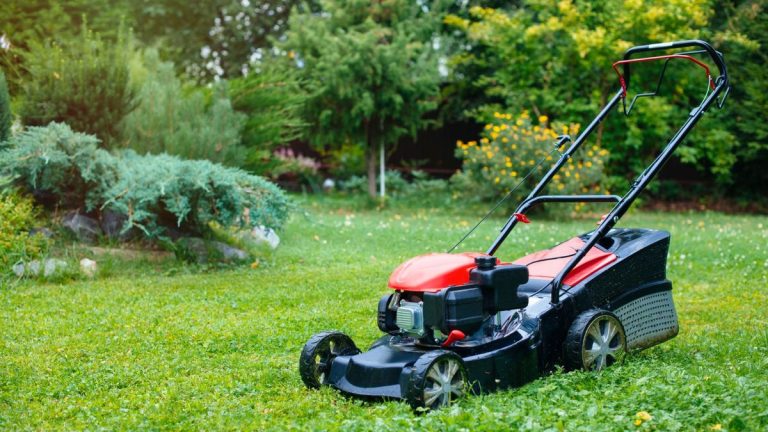 Comment équilibrer les lames de pelouse - les experts expliquent un processus simple qui peut transformer votre pelouse