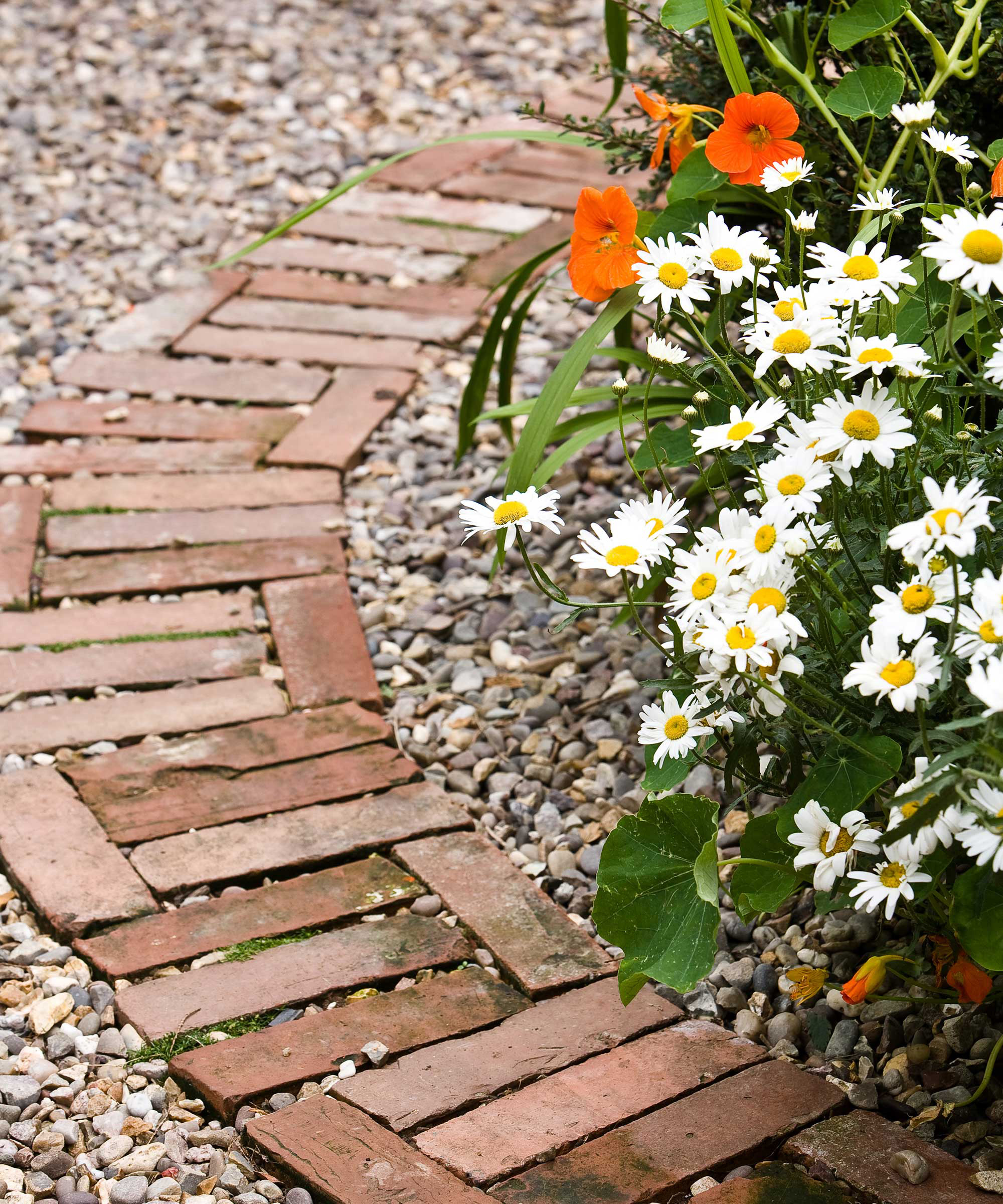 Path de jardin fabriqué par des briques récupérées dans une forme incurvée