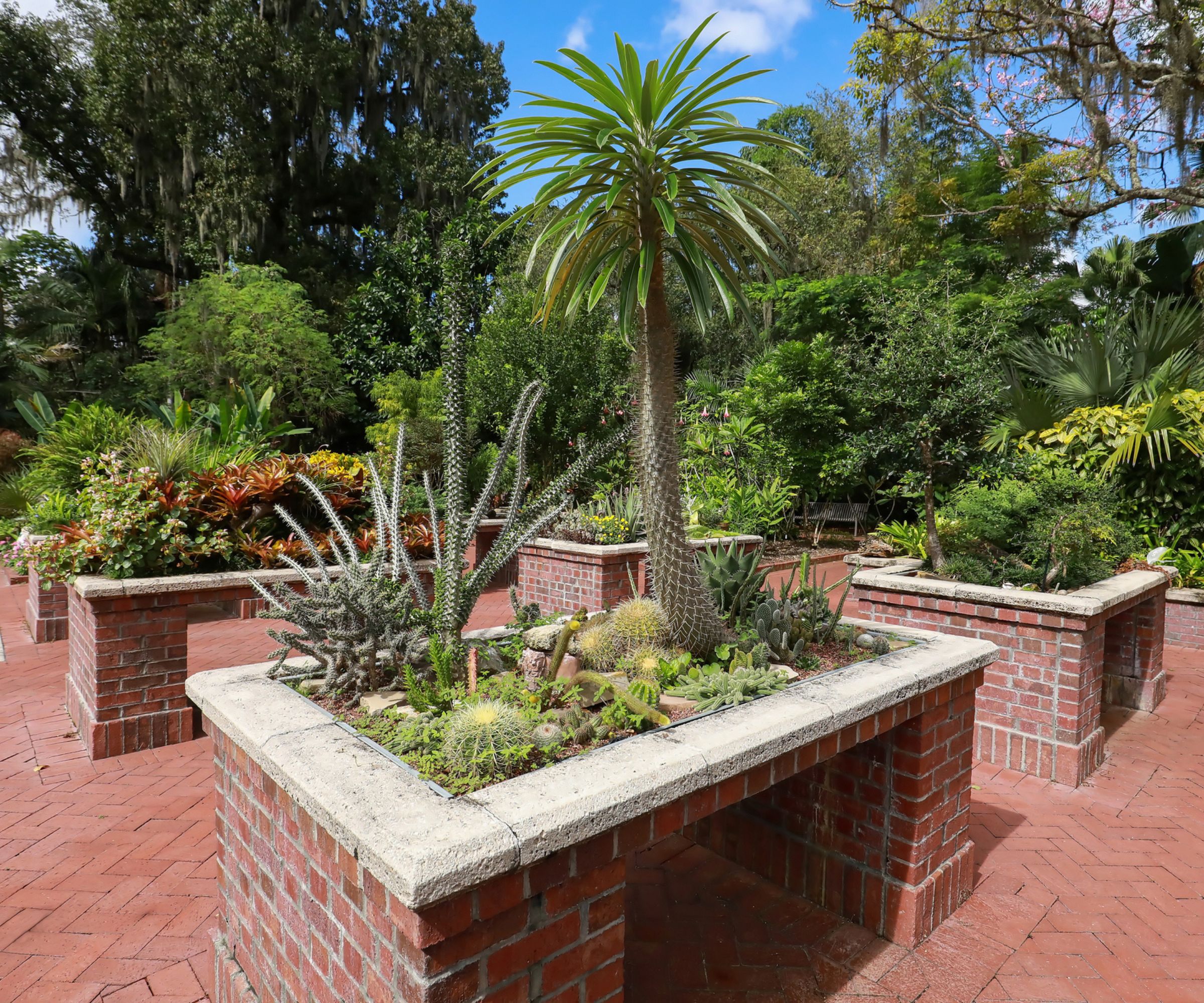 Planteur accessible en fauteuil roulant à base de briques