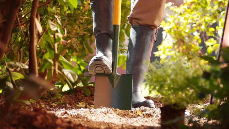 Comment faciliter les 5 pires emplois de jardinage – avec des conseils de gain de temps des experts Comment faciliter les 5 pires emplois de jardinage - avec des conseils de gain de temps des experts