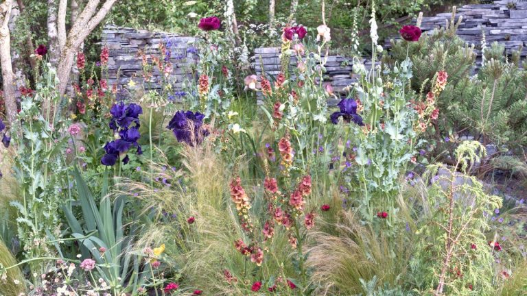 Aménagement paysager avec des herbes ornementales - 6 idées inspirantes pour ajouter de la hauteur et déplacer votre cour