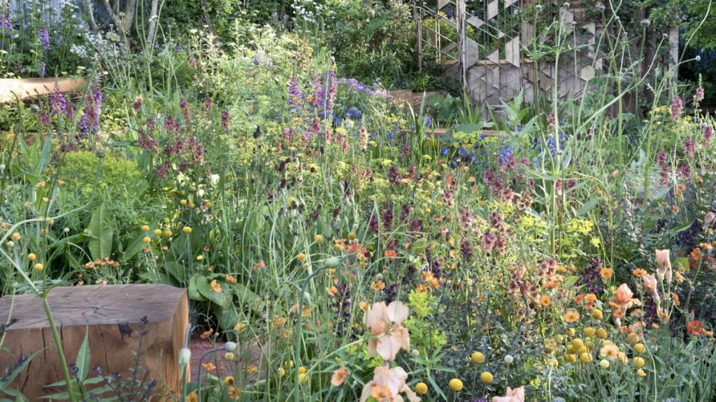 Que sont les nématodes bénéfiques? Plus comment utiliser ces organismes microscopiques pour lutter contre les parasites de jardin communs