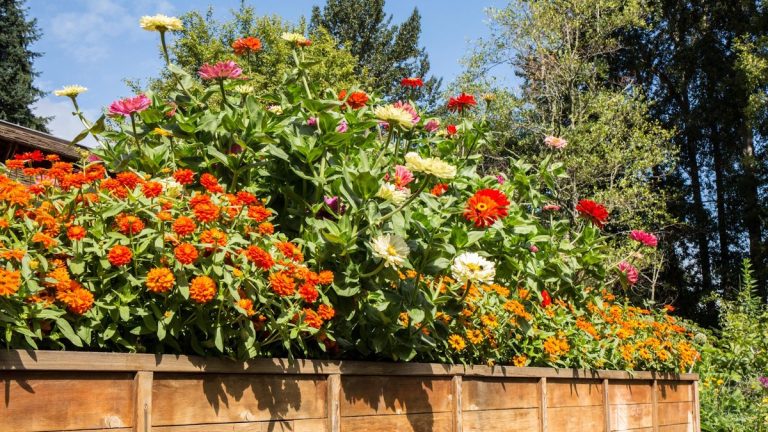 7 plantes adaptées aux enfants qui sont amusantes et faciles – plus des conseils d’experts sur la façon de les développer avec succès 7 plantes adaptées aux enfants qui sont amusantes et faciles - plus des conseils d'experts sur la façon de les développer avec succès