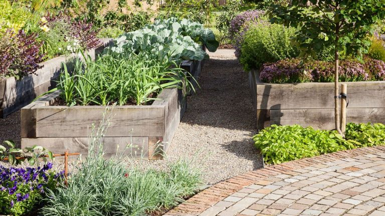 4 façons d’utiliser les algues comme engrais de jardin pour les plantes florissantes, les cultures de pare-chocs et le sol sain 4 façons d'utiliser les algues comme engrais de jardin pour les plantes florissantes, les cultures de pare-chocs et le sol sain