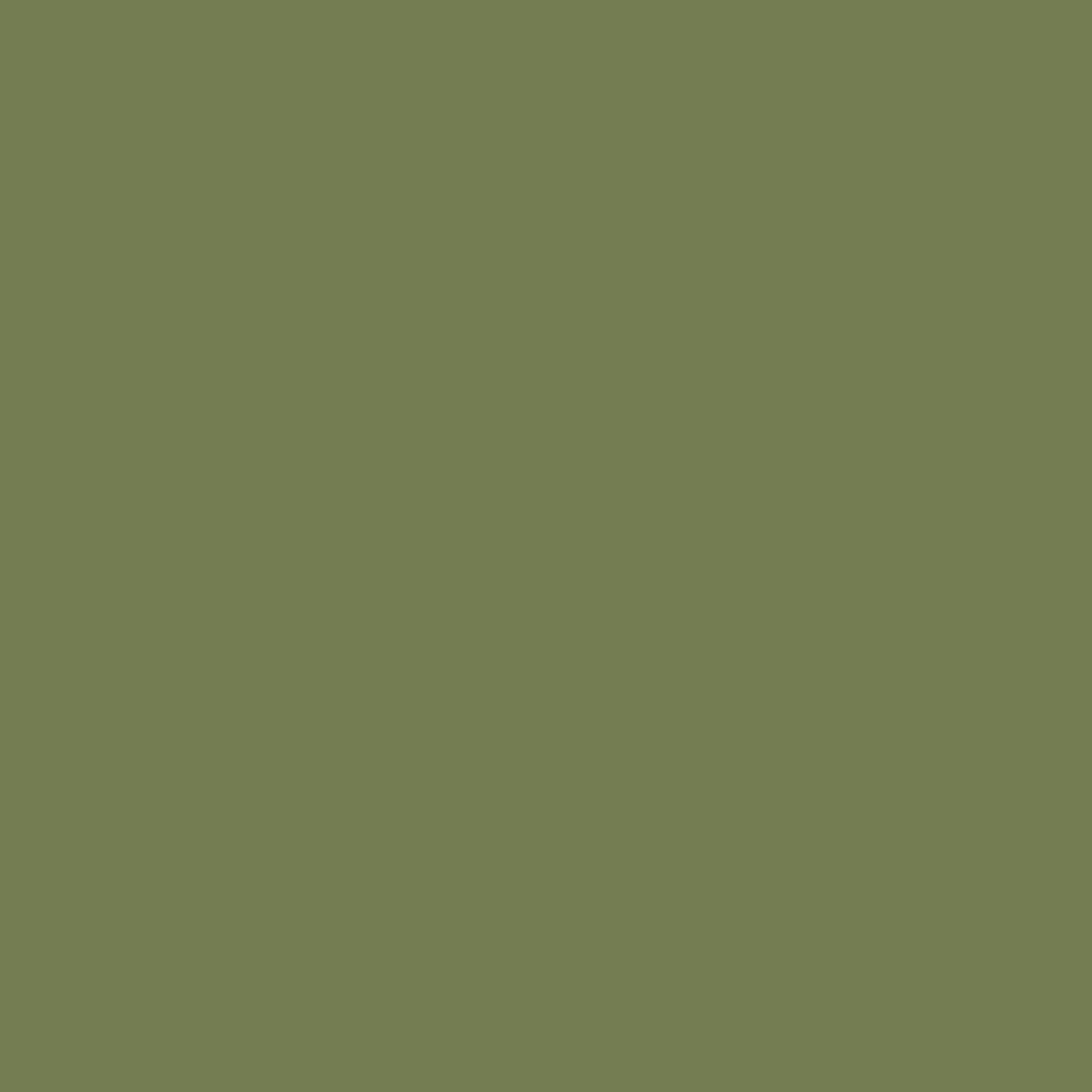 Farrow & Ball, n ° 199 SAP Green