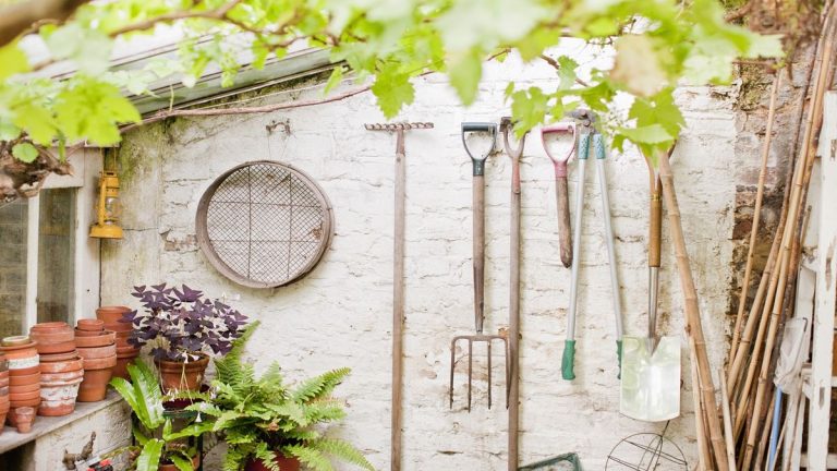 Prenez-le aux experts, ces 7 tâches de jardinage du printemps sont une perte de temps