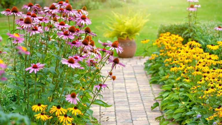 Les pros du jardinage partagent 7 idées d'arrière-cour à faible entretien pour un impact maximal sans le labeur