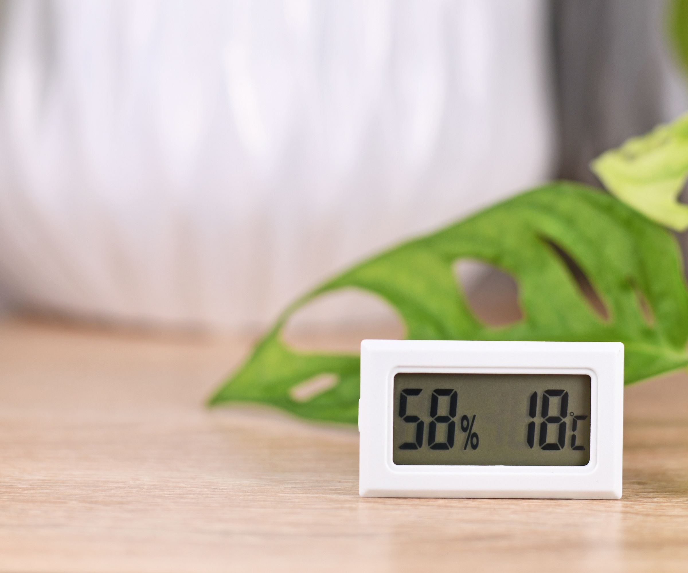 Un hydromètre rectangulaire blanc avec un affichage numérial devant une feuille de planche verte