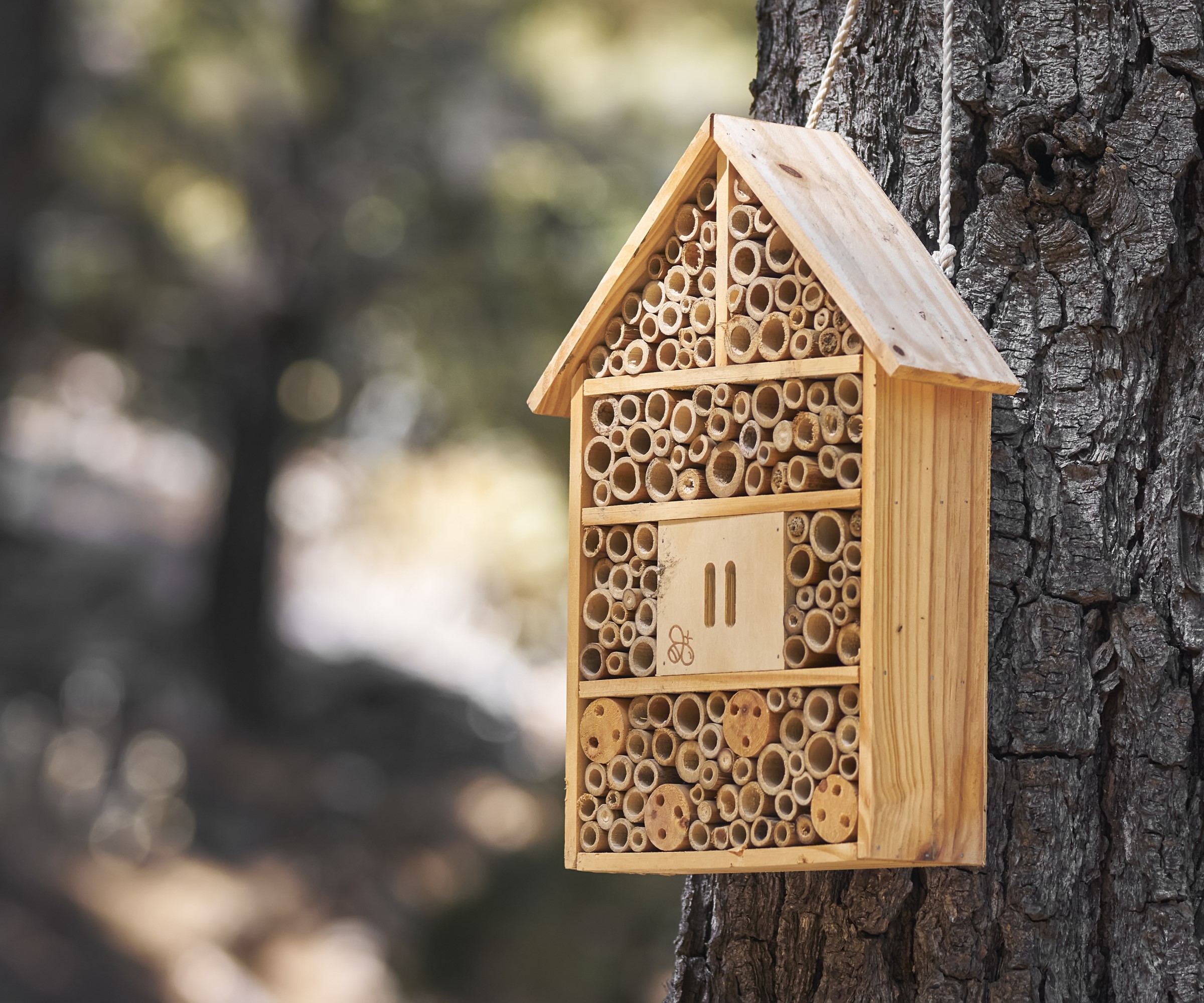 Un hôtel d'abeille placé sur un arbre