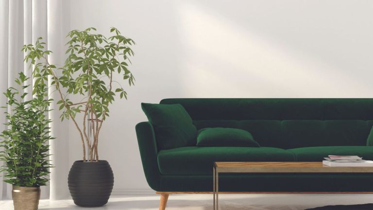 Je fais ces 5 choses pour transmettre mes plantes intérieures hors de l'hiver - les experts disent que les soins essentiels de la gamme d'intérieur de printemps assureront une jungle intérieure florissante