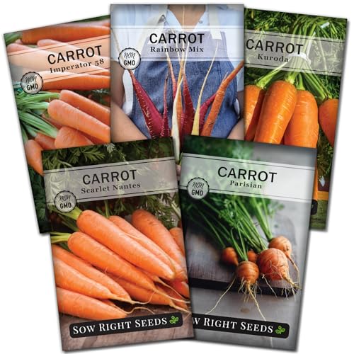 Semer les graines droites - Collection de graines de carottes pour la plantation - Variétés arc-en-ciel, nantes, impérator, parisien et kuroda - Paquet de patrimoine non GMO - Plantez et cultivez votre jardin de légumes à la maison extérieure