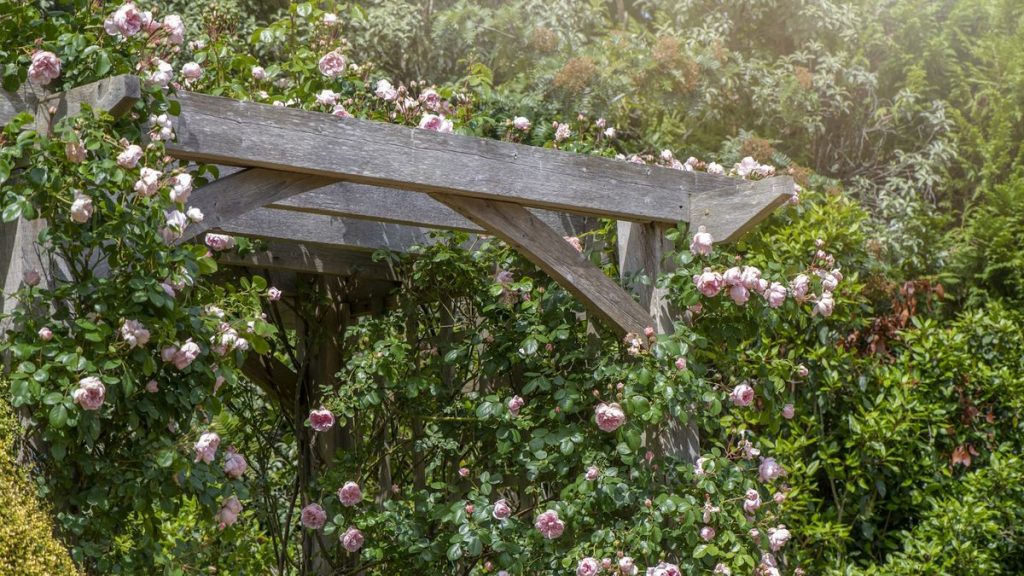 Idées de Garden Arbor - 12 conceptions élégantes pour encadrer les sentiers et abriter votre siège