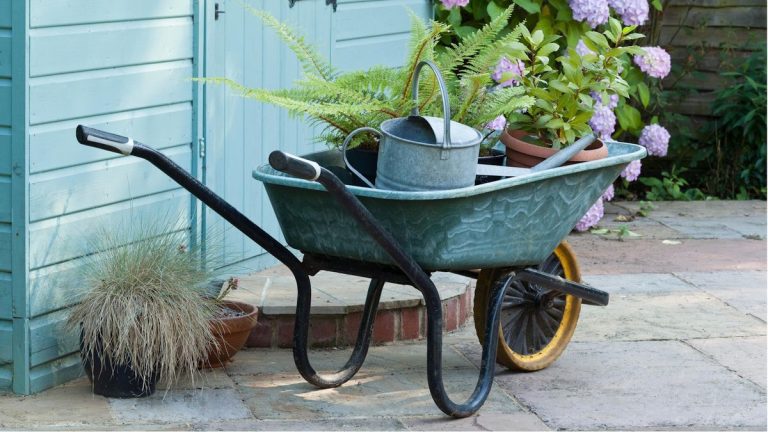 7 échanges de jardinage non toxiques qui vous protégeront, vous et vos plantes, contre les produits chimiques nocifs – ils sont tous vraiment abordables aussi 7 échanges de jardinage non toxiques qui vous protégeront, vous et vos plantes, contre les produits chimiques nocifs - ils sont tous vraiment abordables aussi