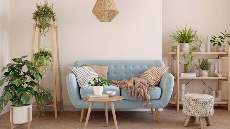 Je regrette d’avoir acheté cette plante d’intérieur difficile à se plaindre – voici pourquoi vous devriez également l’éviter, et 3 alternatives pour investir à la place Je regrette d'avoir acheté cette plante d'intérieur difficile à se plaindre - voici pourquoi vous devriez également l'éviter, et 3 alternatives pour investir à la place