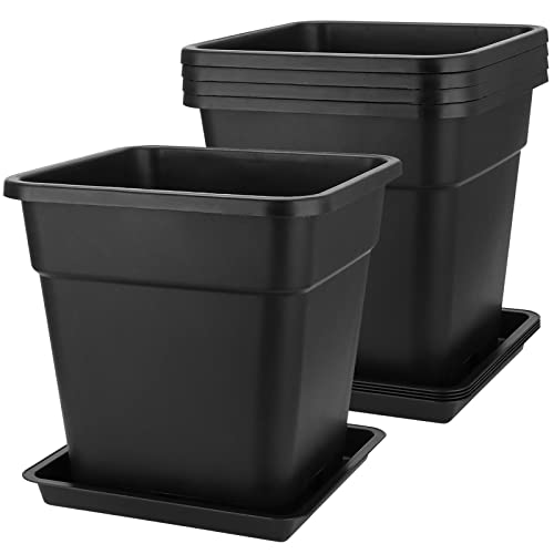 Mouyat 5 Pack de 5 gallons de gallons de crèches carrés avec soucoupes, 12 x 12 pouces noires plantant en plante de pépinière jardinière de jardin pour planter des fleurs