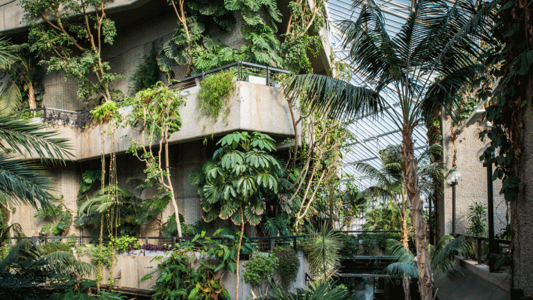 Qu'est-ce que l'éco-brutalisme? La plantation naturaliste qui se marie parfaitement avec un design brutaliste, et comment vous pouvez entrer dans cette tendance émergente