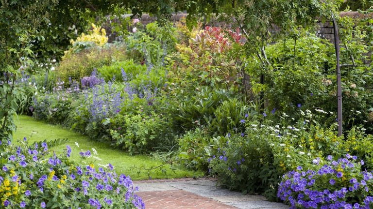 Le piratage du sel viral est-il le secret d'un patio sans mauvaises herbes? Un expert en jardin met en garde contre les dommages irréparables à long terme - plus révèle le moyen le plus sûr d'obtenir des résultats