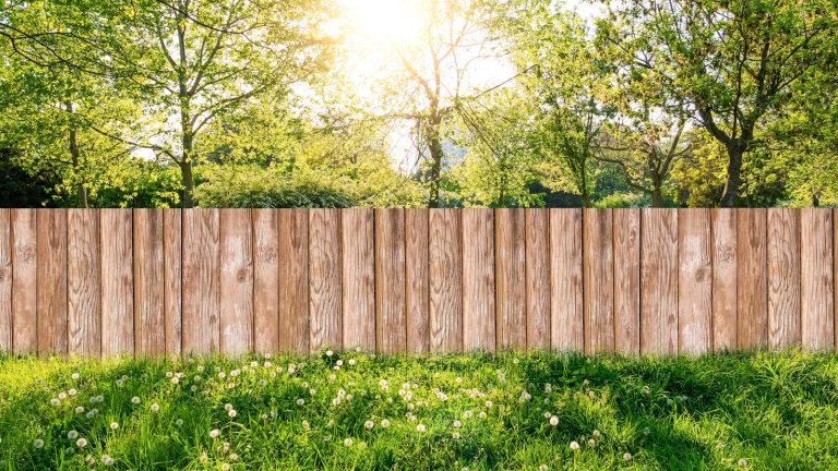 Can my neighbor paint their side of my fence?