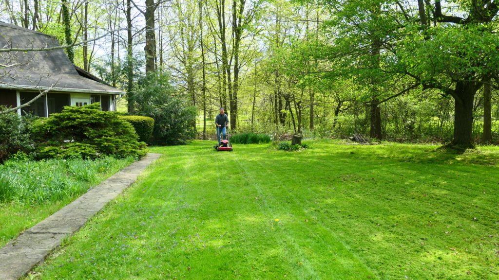 A man mowing the lawn with a push mower with trees behind