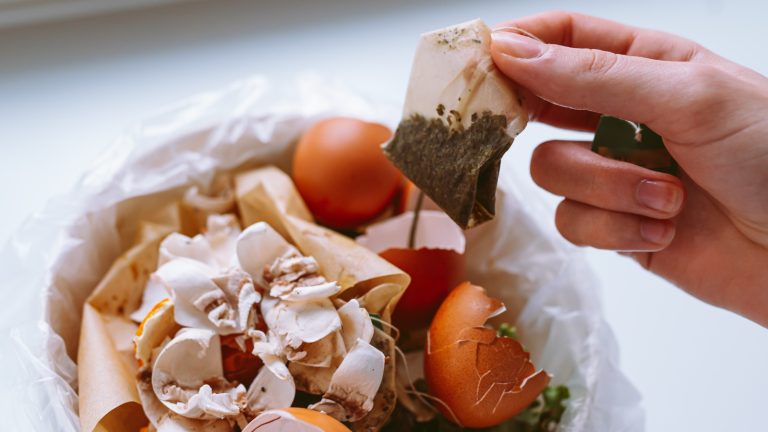 Utiliser des sacs à thé sur votre pelouse est l’ingrédient secret dont vous ne saviez pas que vous aviez besoin, disons des professionnels du jardinage Are tea bags compostable?
