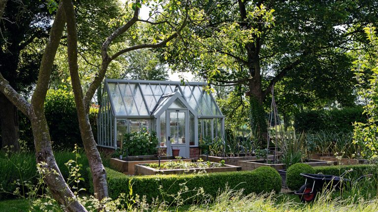 Comment créer un jardin non toxique – 11 conseils d’experts pour un espace extérieur sûr et durable Greenhouse in a lush, green garden during summer, surrounded by established trees