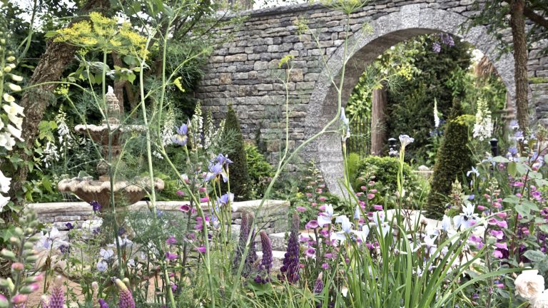 5 expositions incontournables au Chelsea Flower Show 2025 – Vous ne voudrez pas manquer ces jardins et idées de conception spectaculaires Naturalistic planting in front of stone moongate and fountain