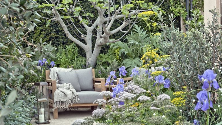 Les horticulteurs vous exhortent à tailler ces 7 plantes en avril – pour une croissance saine et des écrans à fleurs mieux que jamais Les horticulteurs vous exhortent à tailler ces 7 plantes en avril - pour une croissance saine et des écrans à fleurs mieux que jamais