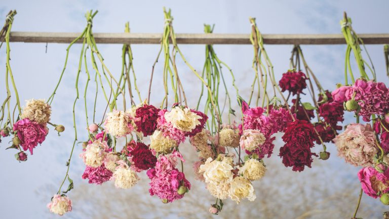 9 des meilleures fleurs à cultiver pour le séchage – pour étendre la beauté de vos fleurs d’arrière-cour assorted flowers hanging to dry