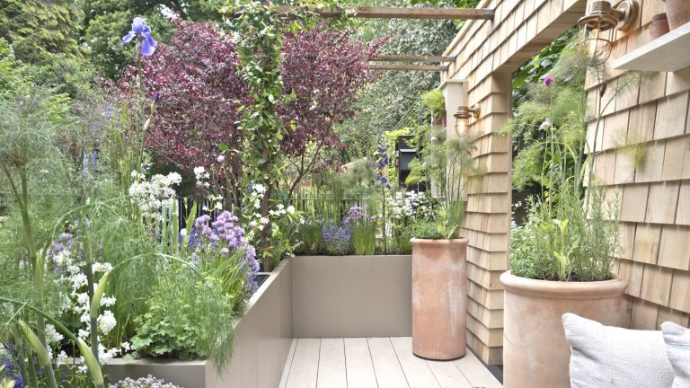 En tant que jardinier professionnel, ce sont les 5 fleurs que je plante dans des pots, ce peut pour une couleur d’été audacieuse, exubérante et non-stop RHS Chelsea Flower Show 2023, with a terrace garden showcasing pots and planters full of colorful flowers, perennials and shrubs