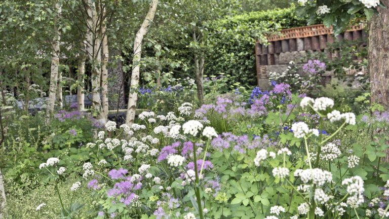 7 plantes vivaces à planter en mai – vous pouvez les faire pousser des graines ce mois A flower bed full of purple and white blooms in summer
