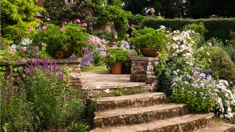Ces 5 articles ménagers créent des jardinières parfaits pour une touche unique dans les jardins en conteneurs – en plus, ils vous feront économiser en achetant des pots de plantes coûteuses Household items to repurpose as unusual planters